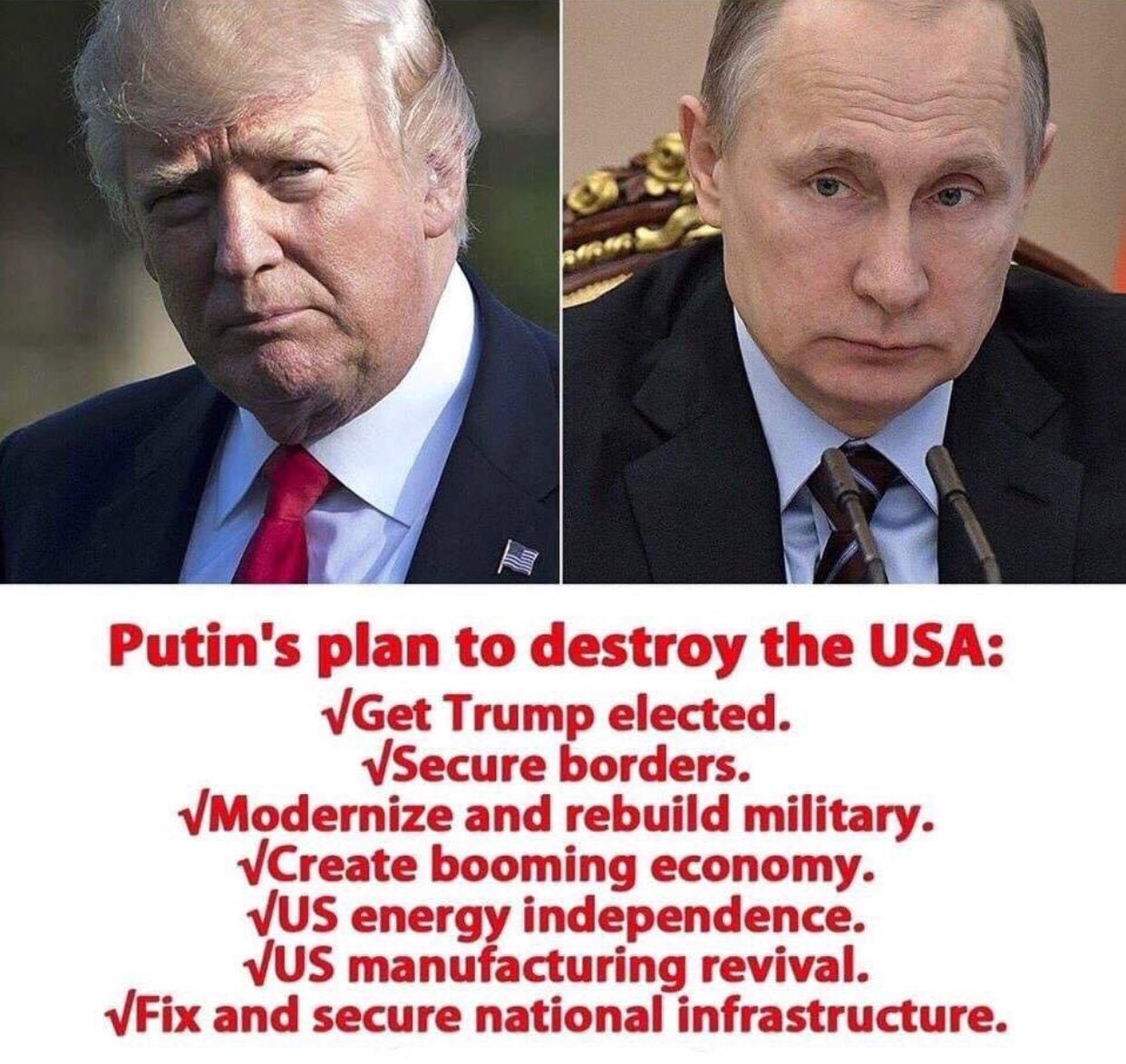 Putin's plan