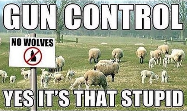 Gun control sheep