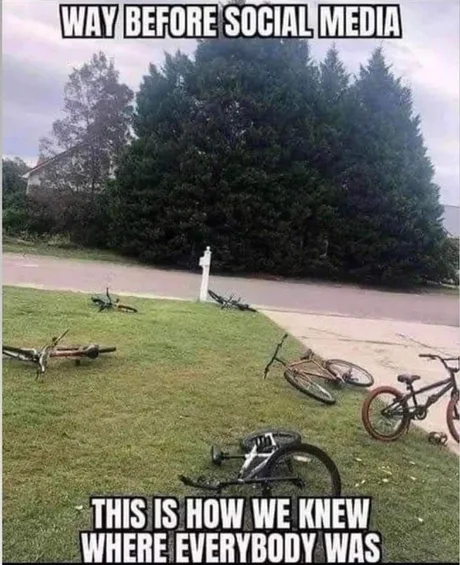 Bikes in yard