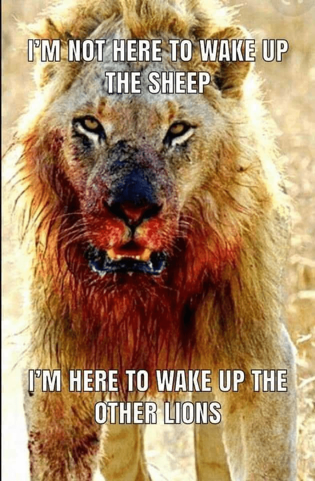 Wake up the other lions