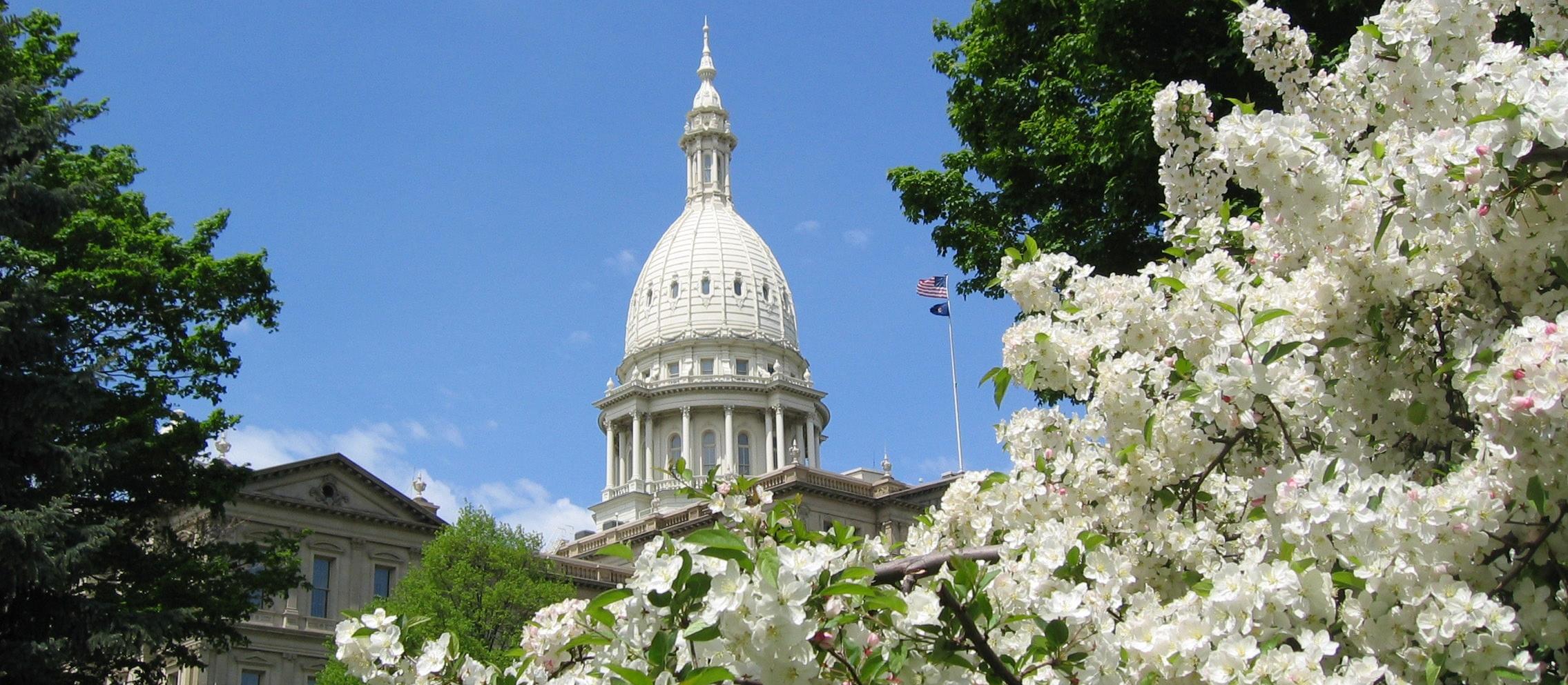 Michigan State Senate