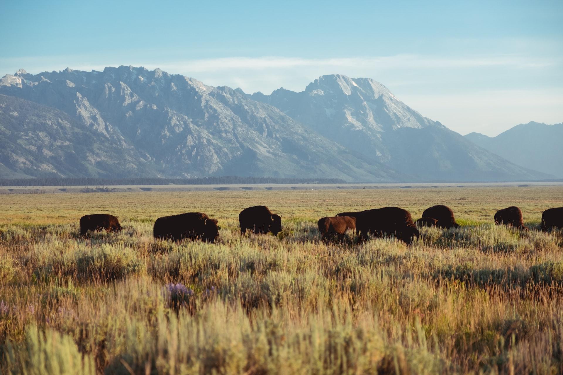 Wyoming