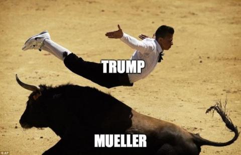 Trump, Mueller, bullfighting