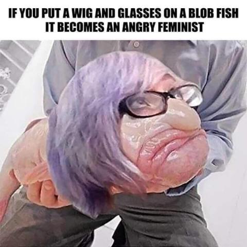 Feminists look like blob fish