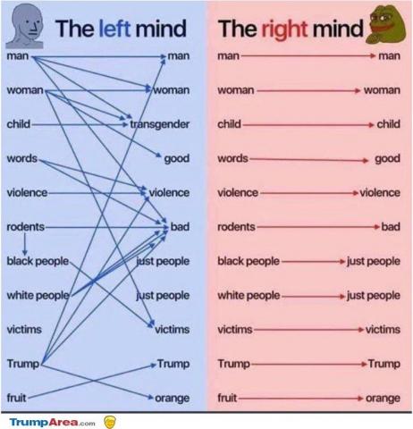 Left mind vs right mind