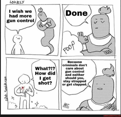I wish we had more gun control