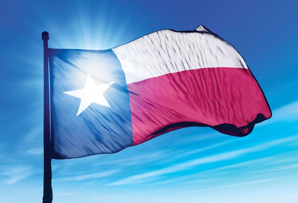 Lone Star Flag