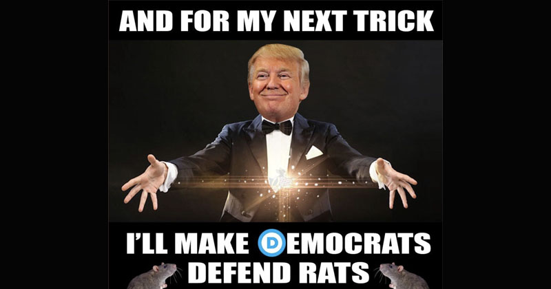 Trump magic trick